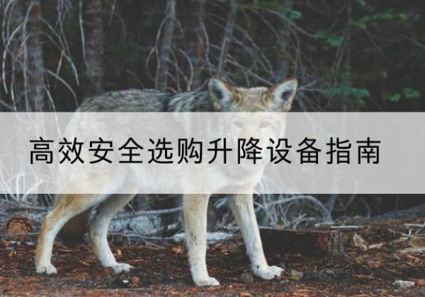 镇原升降货梯厂家推荐-*安全选购升降设备指南