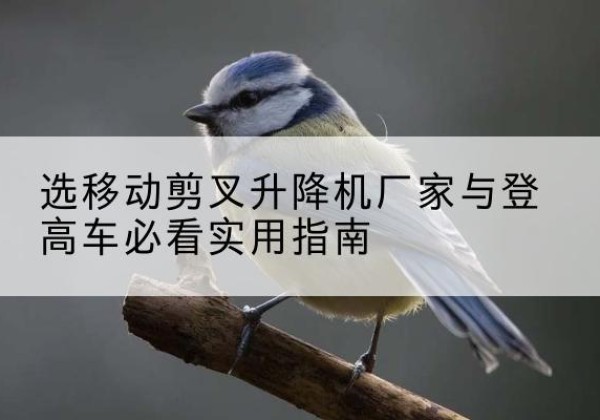 镇原电动升降机厂家-选移动剪叉升降机厂家与登高车必看实用指南