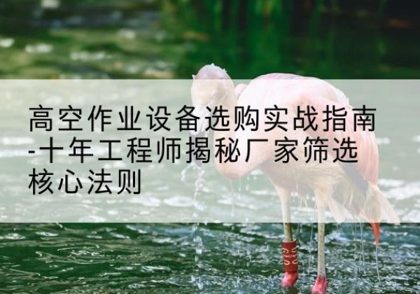镇原剪叉式升降机厂家-高空作业设备选购实战指南-十年工程师揭秘厂家筛选核心法则